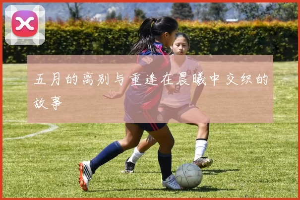 五月的离别与重逢在晨曦中交织的故事